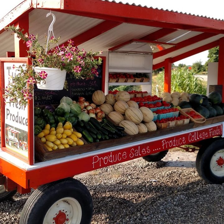 produce stand